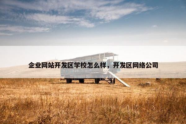 企业网站开发区学校怎么样，开发区网络公司