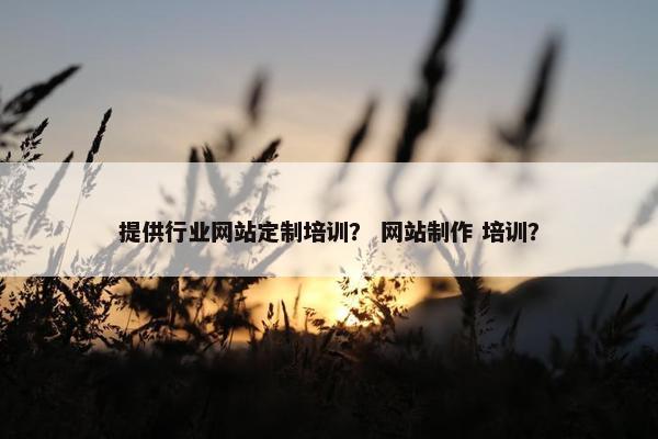提供行业网站定制培训？ 网站制作 培训？