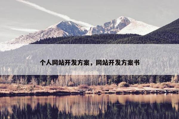 个人网站开发方案，网站开发方案书
