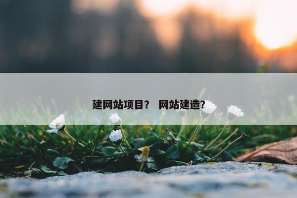 建网站项目？ 网站建造？