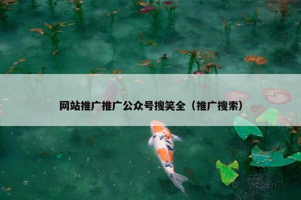 网站推广推广公众号搜笑全（推广搜索）
