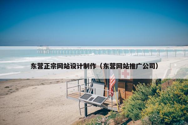 东营正宗网站设计制作（东营网站推广公司）