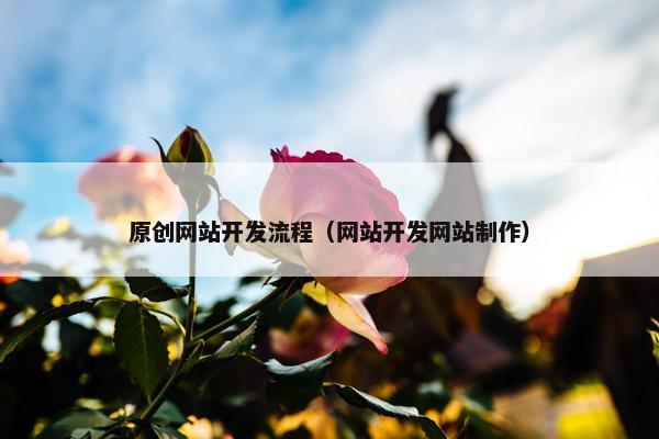 原创网站开发流程（网站开发网站制作）