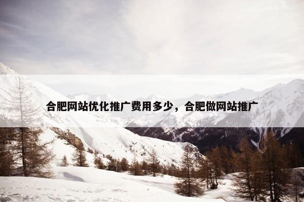 合肥网站优化推广费用多少，合肥做网站推广