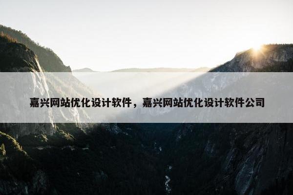 嘉兴网站优化设计软件，嘉兴网站优化设计软件公司