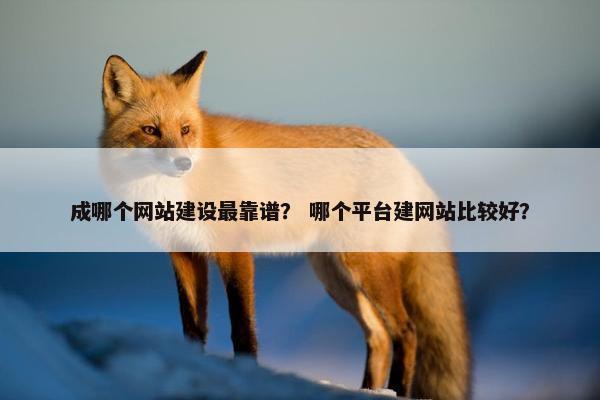 成哪个网站建设最靠谱？ 哪个平台建网站比较好？