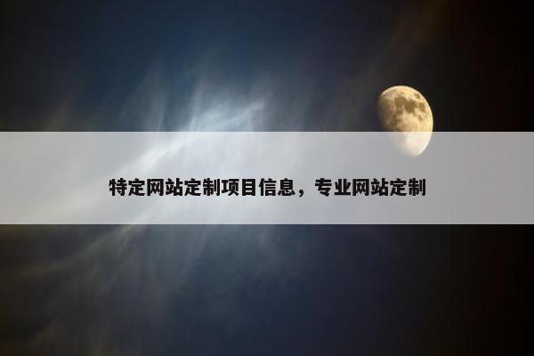 特定网站定制项目信息，专业网站定制