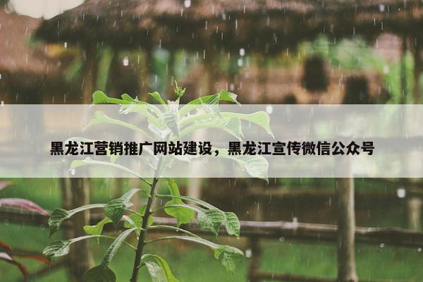 黑龙江营销推广网站建设，黑龙江宣传微信公众号