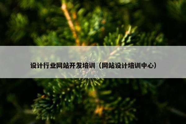 设计行业网站开发培训（网站设计培训中心）