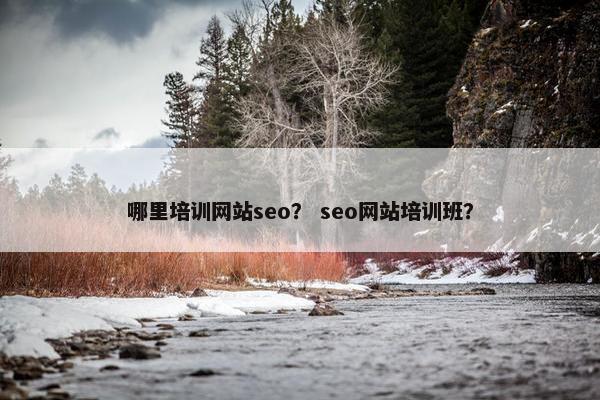 哪里培训网站seo？ seo网站培训班？
