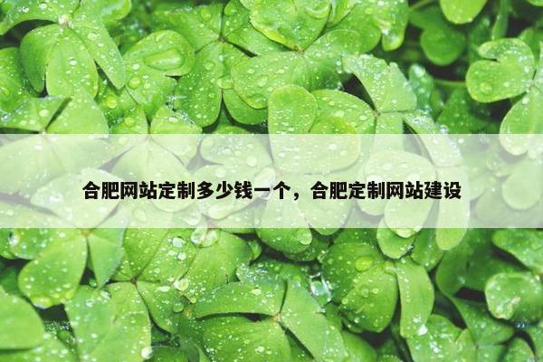 合肥网站定制多少钱一个，合肥定制网站建设