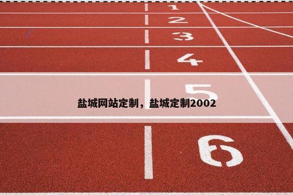 盐城网站定制，盐城定制2002
