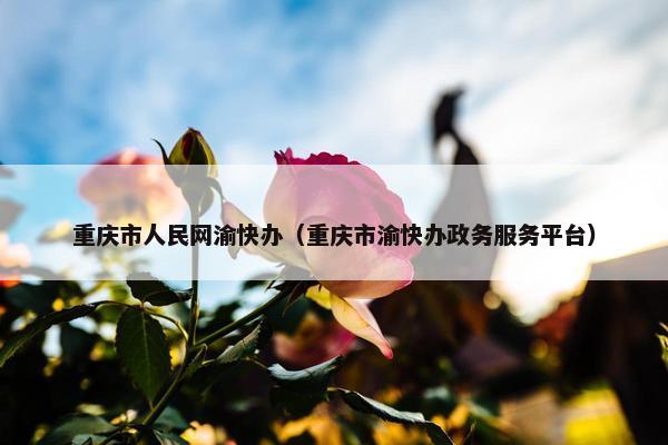 重庆市人民网渝快办（重庆市渝快办政务服务平台）