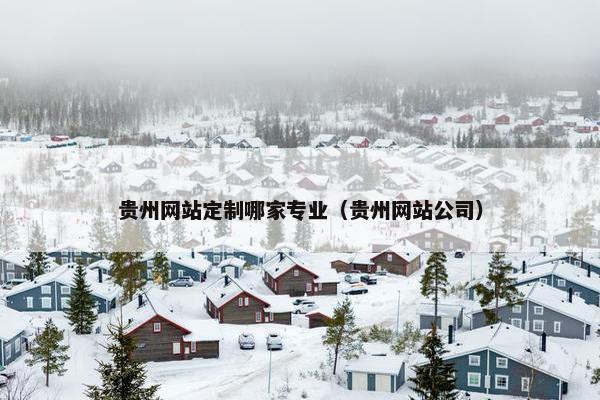 贵州网站定制哪家专业（贵州网站公司）