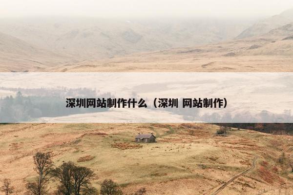 深圳网站制作什么（深圳 网站制作）