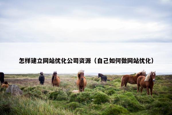 怎样建立网站优化公司资源（自己如何做网站优化）