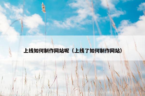 上线如何制作网站呢（上线了如何制作网站）