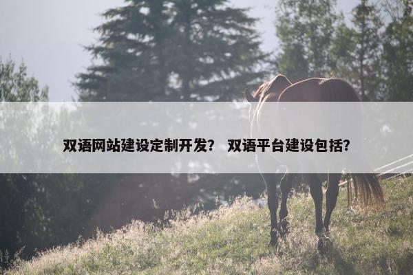 双语网站建设定制开发？ 双语平台建设包括？