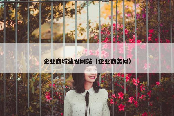 企业商城建设网站（企业商务网）