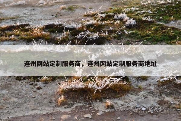 连州网站定制服务商，连州网站定制服务商地址