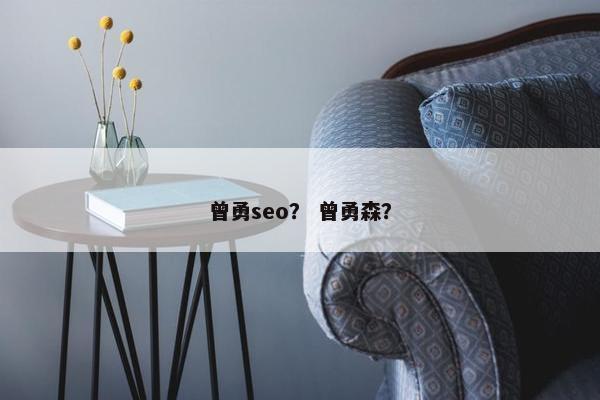 曾勇seo？ 曾勇森？
