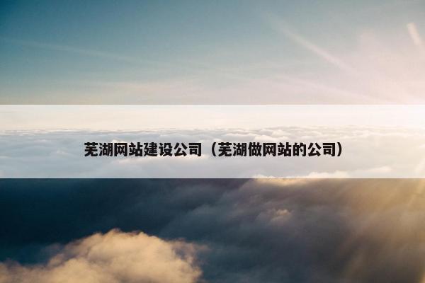 芜湖网站建设公司（芜湖做网站的公司）