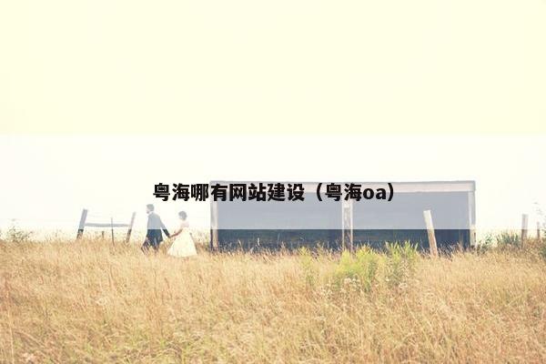 粤海哪有网站建设（粤海oa）
