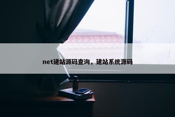 net建站源码查询，建站系统源码