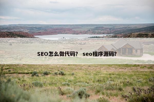 SEO怎么做代码？ seo程序源码？