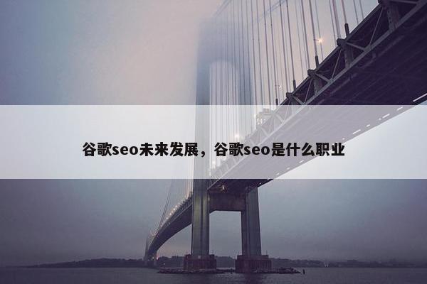 谷歌seo未来发展，谷歌seo是什么职业