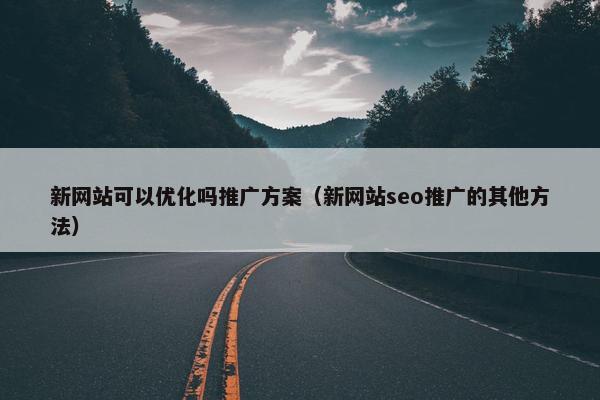 新网站可以优化吗推广方案（新网站seo推广的其他方法）