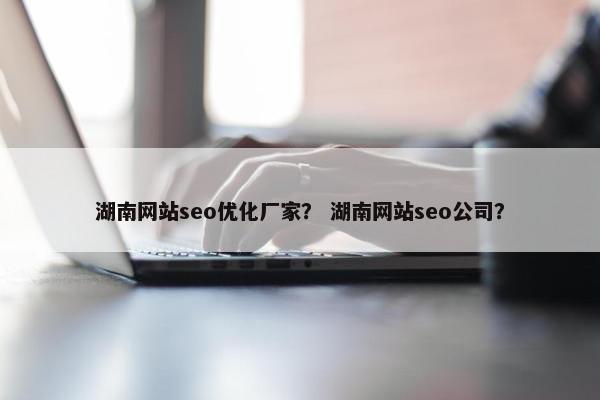 湖南网站seo优化厂家？ 湖南网站seo公司？