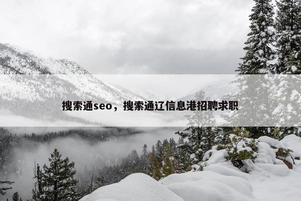 搜索通seo，搜索通辽信息港招聘求职