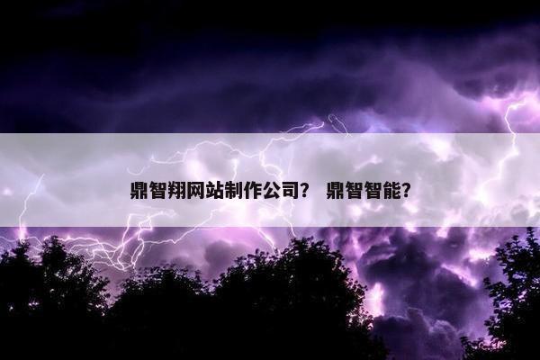 鼎智翔网站制作公司？ 鼎智智能？