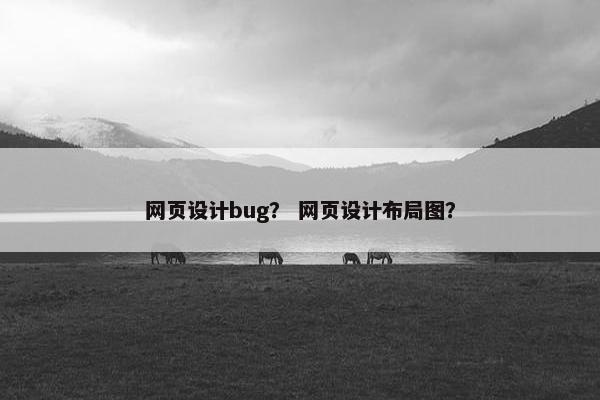 网页设计bug？ 网页设计布局图？