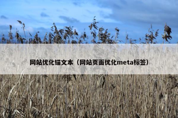 网站优化锚文本（网站页面优化meta标签）