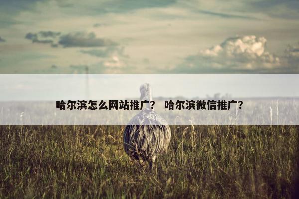 哈尔滨怎么网站推广？ 哈尔滨微信推广？