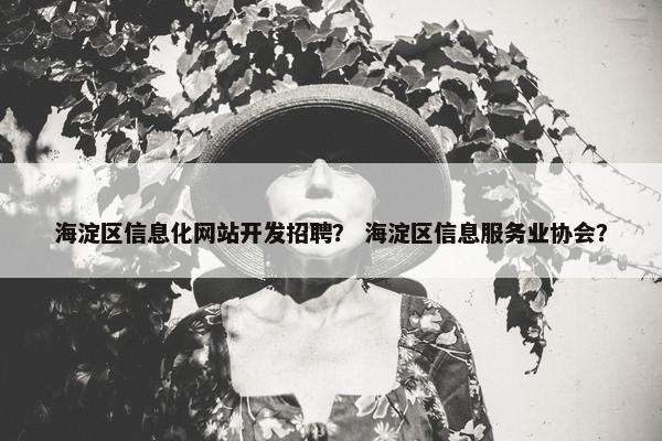 海淀区信息化网站开发招聘？ 海淀区信息服务业协会？