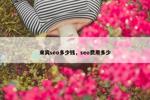 来宾seo多少钱，seo费用多少