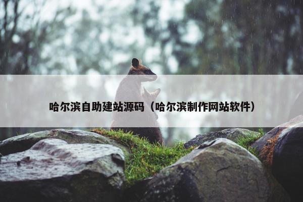 哈尔滨自助建站源码（哈尔滨制作网站软件）