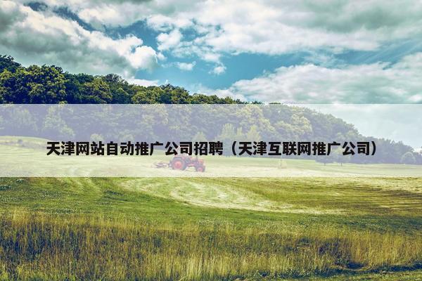 天津网站自动推广公司招聘（天津互联网推广公司）