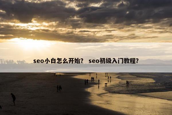 seo小白怎么开始？ seo初级入门教程？