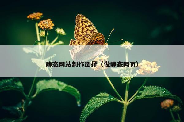 静态网站制作选择（做静态网页）