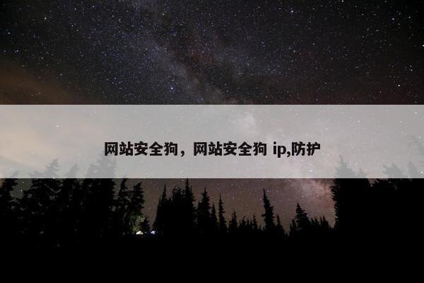 网站安全狗，网站安全狗 ip,防护
