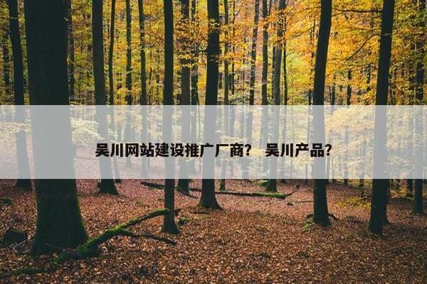 吴川网站建设推广厂商？ 吴川产品？