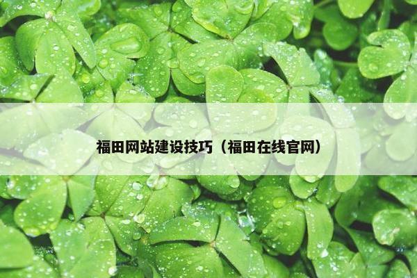 福田网站建设技巧（福田在线官网）