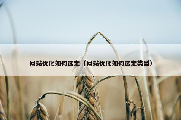 网站优化如何选定（网站优化如何选定类型）