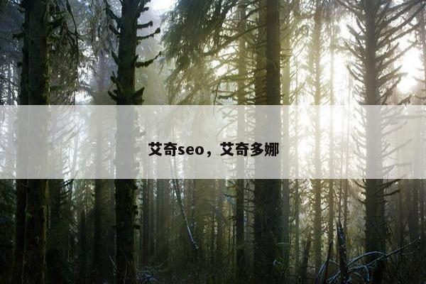 艾奇seo，艾奇多娜