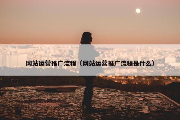 网站运营推广流程（网站运营推广流程是什么）