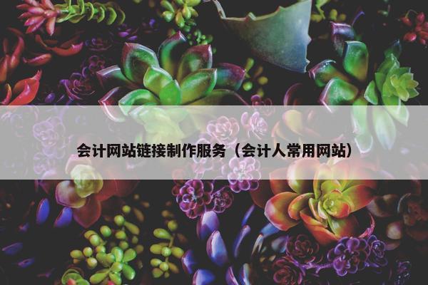 会计网站链接制作服务（会计人常用网站）